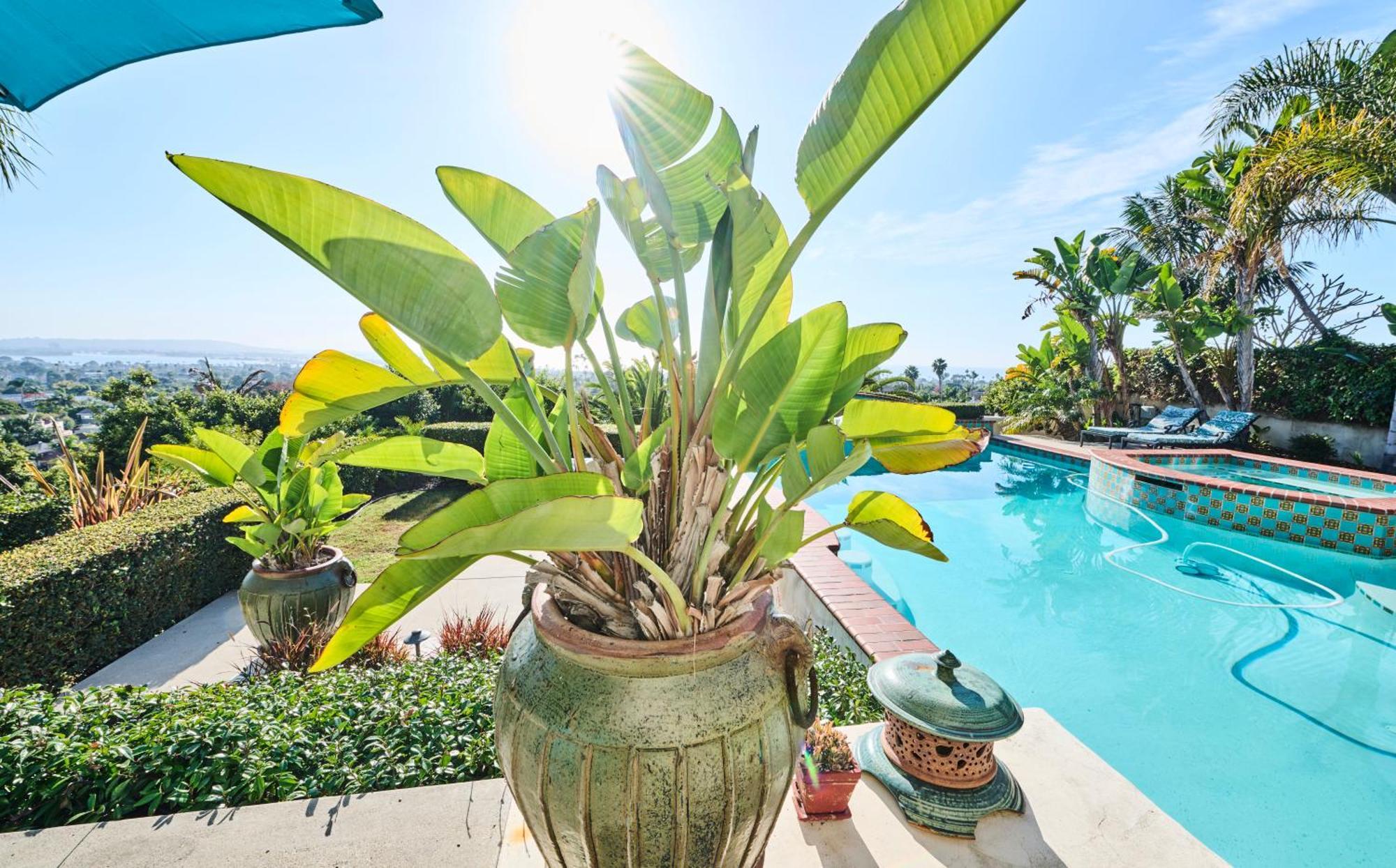 360 Degree Ocean & City Views With Pool, Spa, Close To The Beach! Pets Ok San Diego Buitenkant foto
